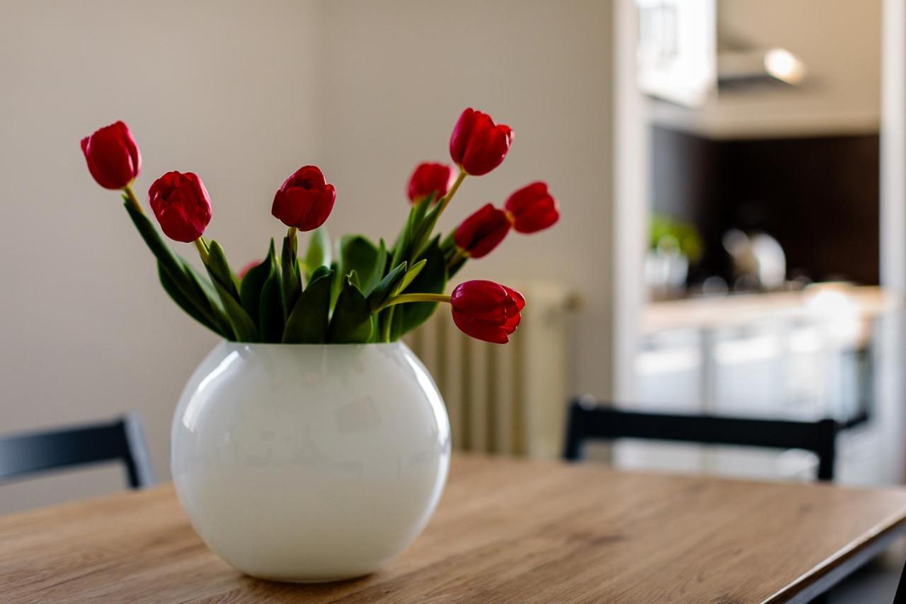 Le Stanze Di Catia Apartment Флоренция Екстериор снимка